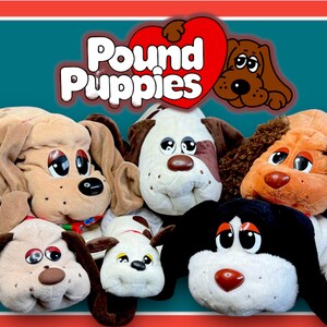 Pound Puppies! 1983-2017 Basic Fun Flair Irwin Vintage Adoptable