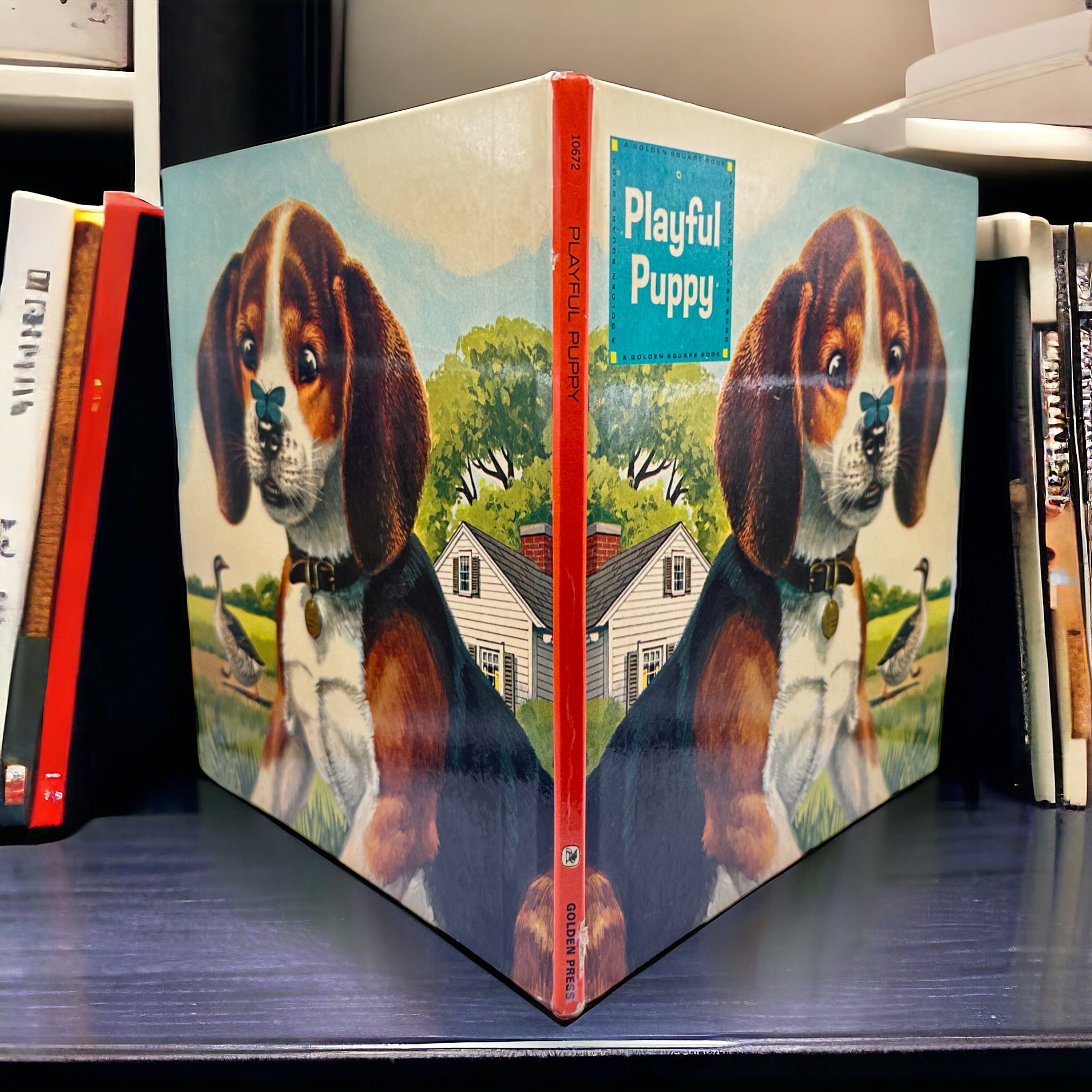 Playful Puppy 1967 First Edition by Barbara Shook Hazen and