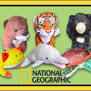 May include: A collection of plush animal toys, including a brown bear, tiger, black bear, frog, dolphin, and turtle. The toys are in various colors and feature detailed designs. The National Geographic logo is visible in the lower center.