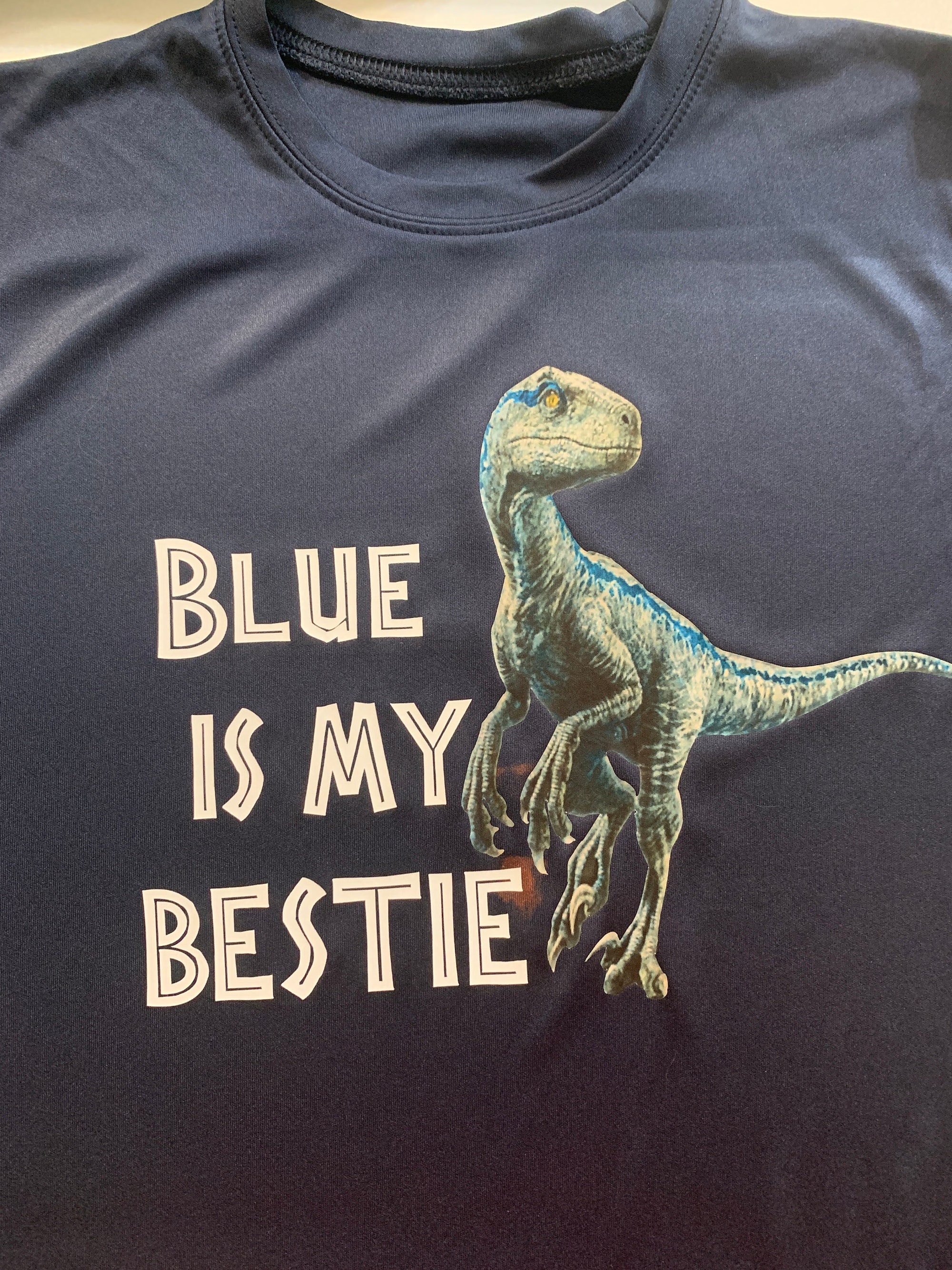 Discover Blue is my bestie | Raptor Friend | I love Raptors | Blue the Raptor