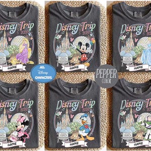 May include: Pepper-colored t-shirts with a Disney Trip 2026 design. Each shirt features a different Disney character, including Rapunzel, Mickey Mouse, Cinderella, Minnie Mouse, Donald Duck, and Buzz Lightyear. The shirts have a customizable "NAME" banner.