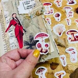 Puede incluir: Una colección de pegatinas de setas con varios diseños y colores, incluyendo rojo, blanco y marrón. Las pegatinas están dispuestas sobre una superficie texturizada con una mano sujetando una de las pegatinas.