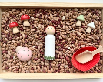Organic Mushroom Peg Doll Sensory Bin Kit