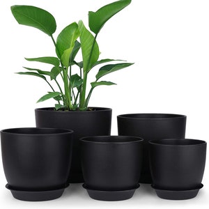 Houseplant Pots and Planters, 6.3 Inch Plant Pots with Drainage Holes and  Saucer for All House Planting Flower Succulents Herbs Seedling, Decorative  Plastic Window Box Nursery Pot, 3 Pack