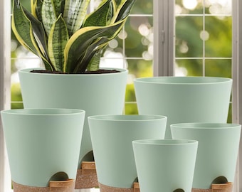 Self Watering Pastel Green Indoor Planters with Drainage Holes, Great for Pothos, Snake Plants, Ficus, Aloe, Monstera, Ficus Planter Pots