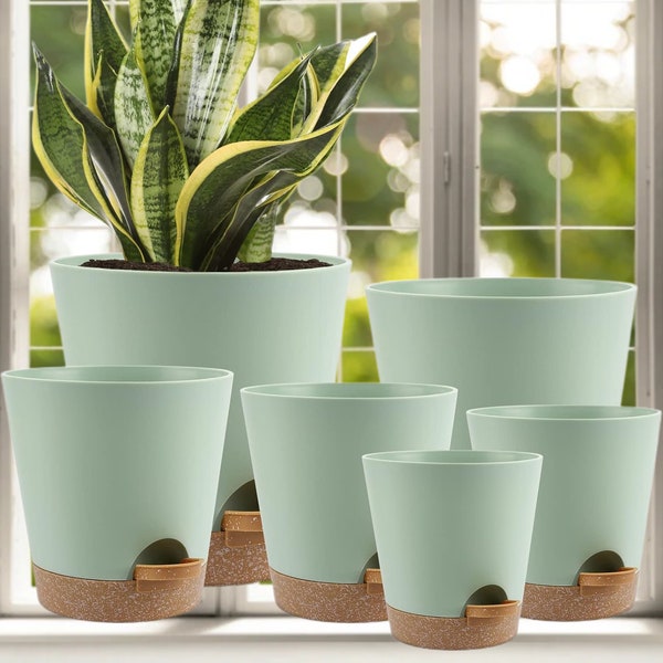 Self Watering Pastel Green Indoor Planters with Drainage Holes, Great for Pothos, Snake Plants, Ficus, Aloe, Monstera, Ficus Planter Pots