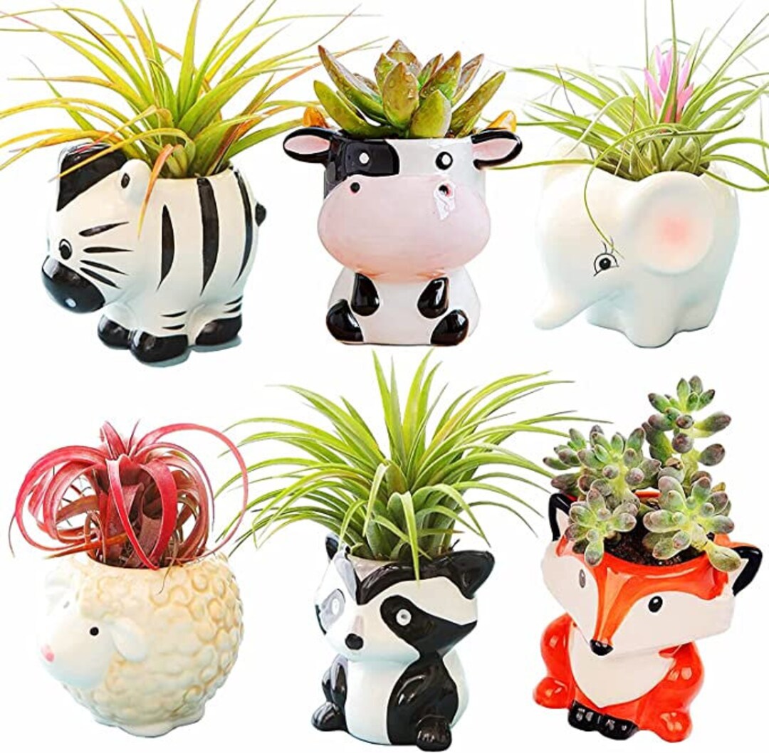 Cute Animal Plant Pots Adorable Zoo Farm Animal Small Ceramic Plant Pot