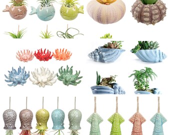 Beach Ocean Theme Air Plant Pots Air Plant Beachy Container Pot Display - Hanging Airplant displays and Standing - Great Gifts