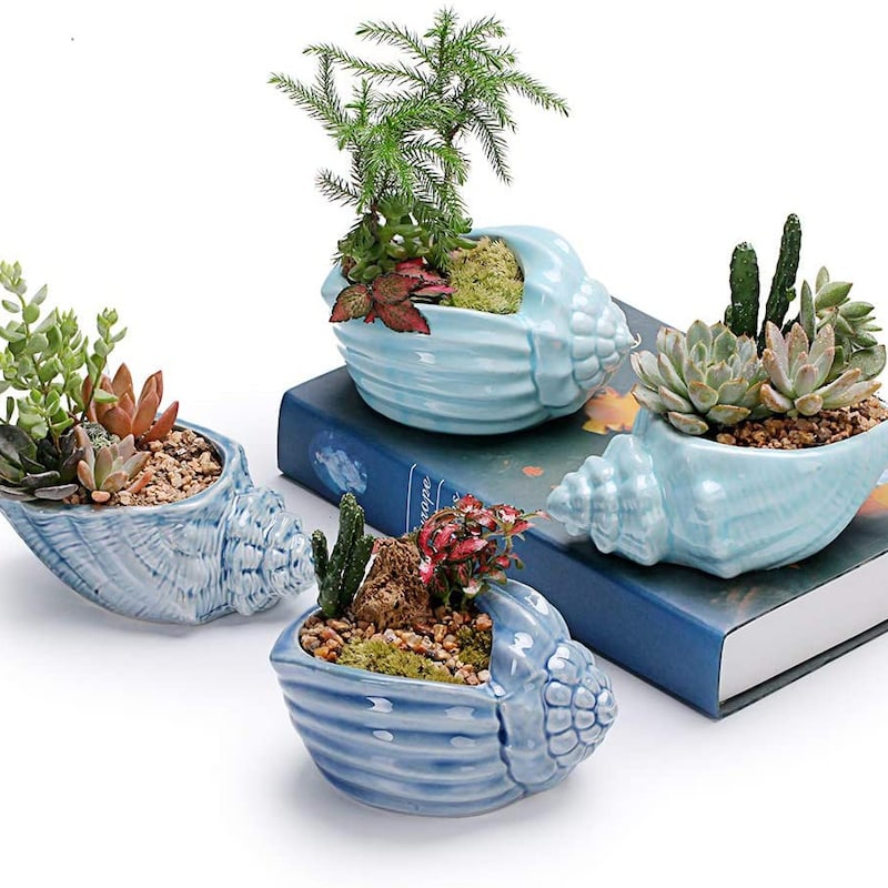 Sea Shell Planters - Etsy