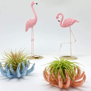 Glass Coral Design Air Plant Stand Pot Beach Beachy Theme Ocean Air Plant Stand Pot