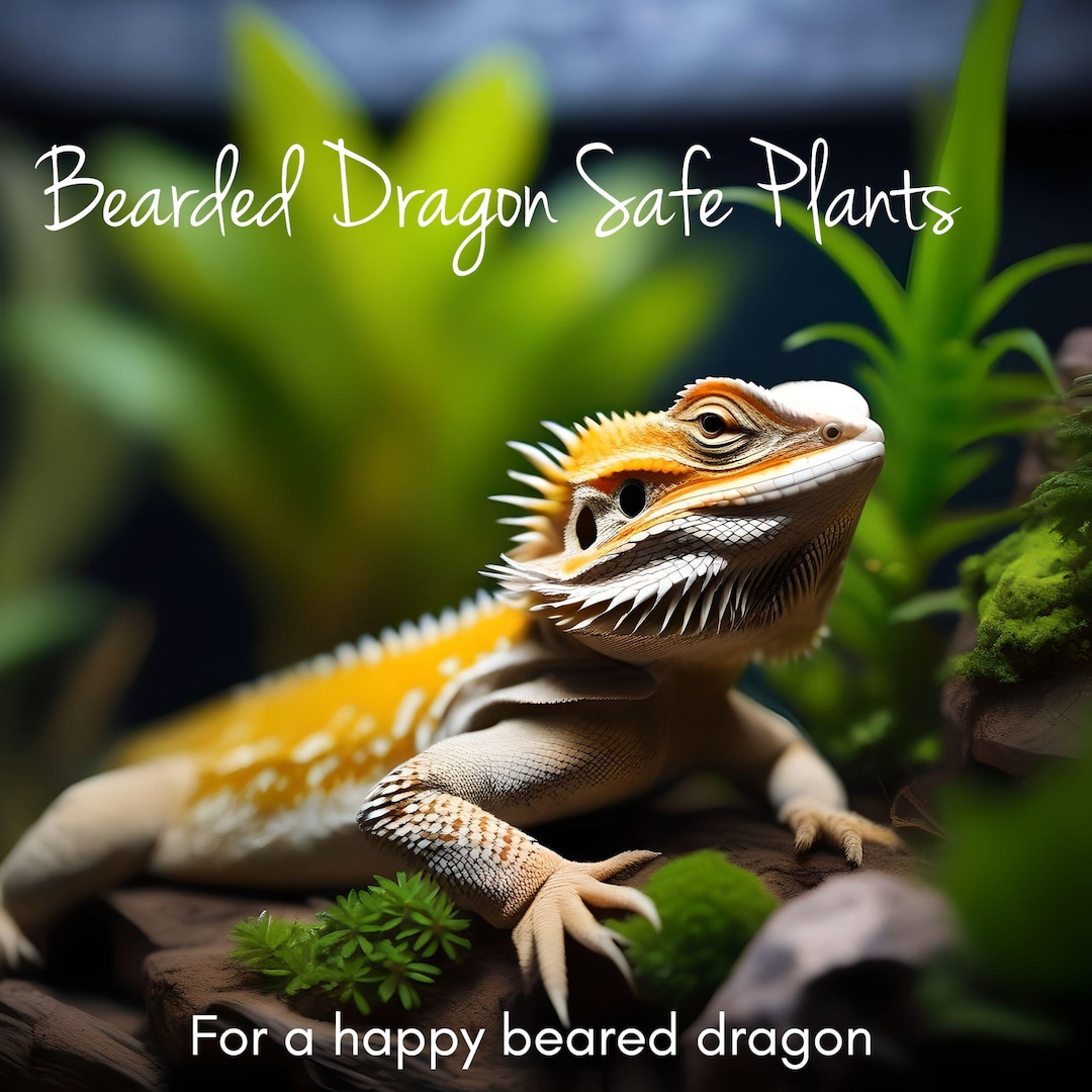 Bearded Dragon Plants & Safe Bearded Dragon Plants for Vivarium