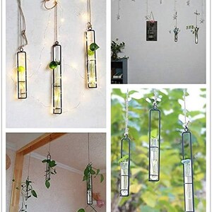 Glass Test Tube Jar Hanging Planter Cutting/Propagation Or Decor Indoor Iron Art Terrarium Container Home Decor