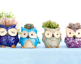 Owl 11X10cm DOITOOL Ceramic Animal Succulent Plant Pot Lovely Cartoon Flower Pot Bonsai Container Stand Rack for Home Office Table Garden Decor Owl 11X10cm DOITOOL Ceramic Animal Succulent Plant Pot Lovely Cartoon Flower Pot Bonsai Container Stand Rack for Home Office Table Garden Decor