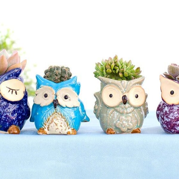 Owl Pot Planter for Succulents Plants, Cactus - Vase Decor Owl Decor Gift, Friends Family Birthdays