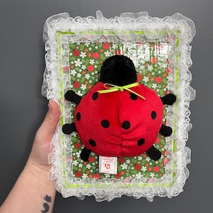 May include: A framed ladybug plush toy with a red body and black spots. The frame has a green floral background and is trimmed with white lace. A green ribbon is tied around the ladybug's head.