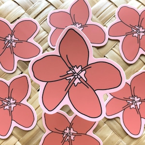 Pink Plumeria Flower Sticker, 3x3in.