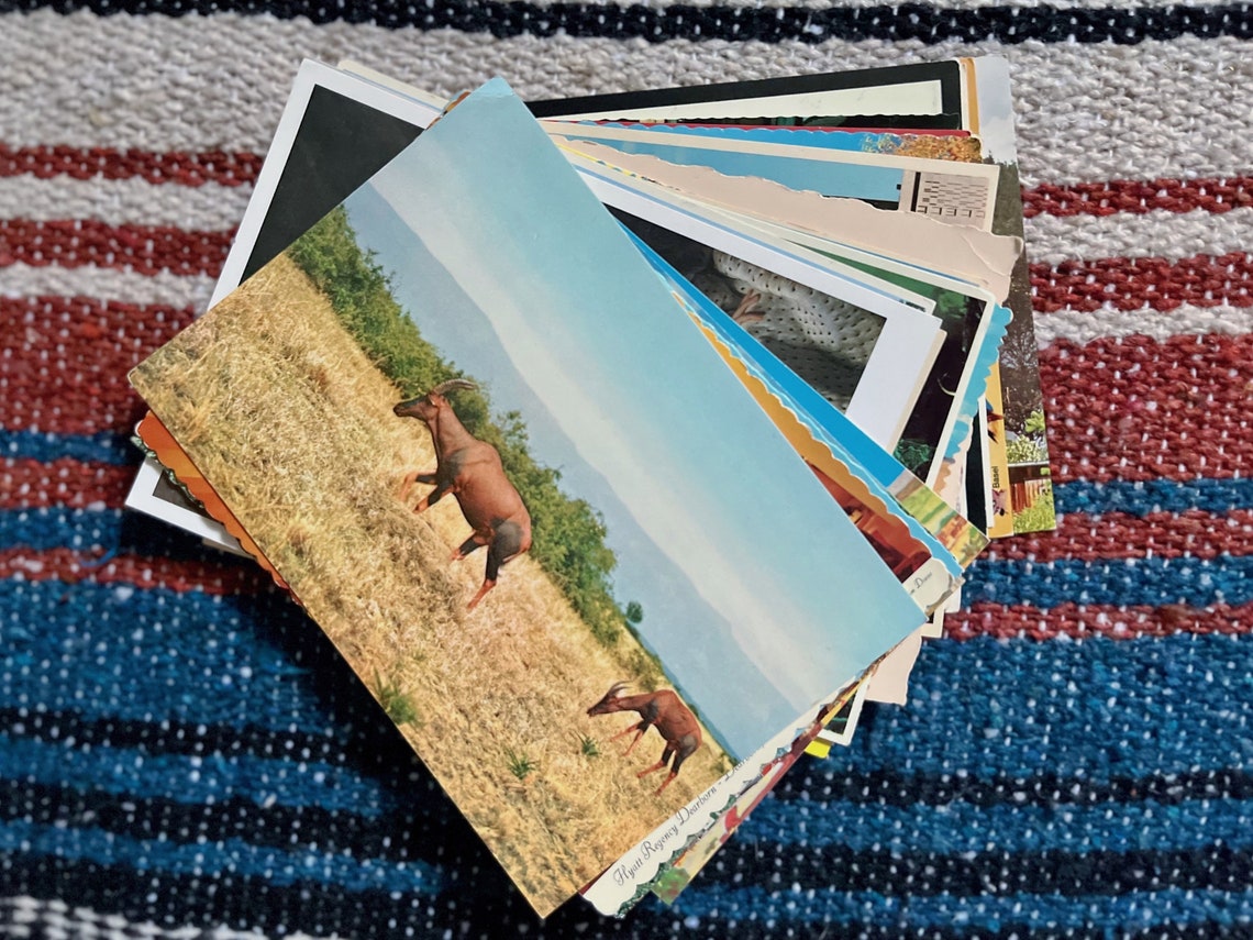 30 Vintage Unused Postcards. All Unstamped and Perfect for Etsy