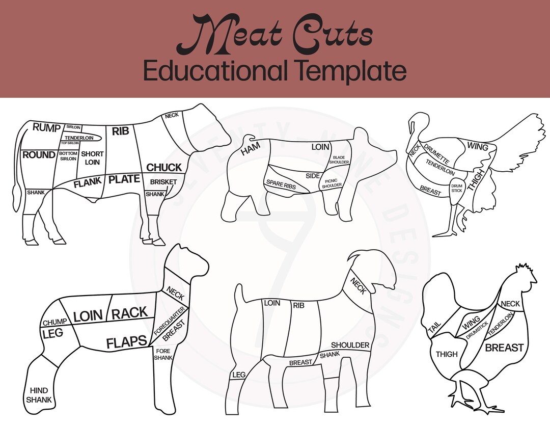 Meat Cuts Agricultural Educational Template Ready to Download - Etsy