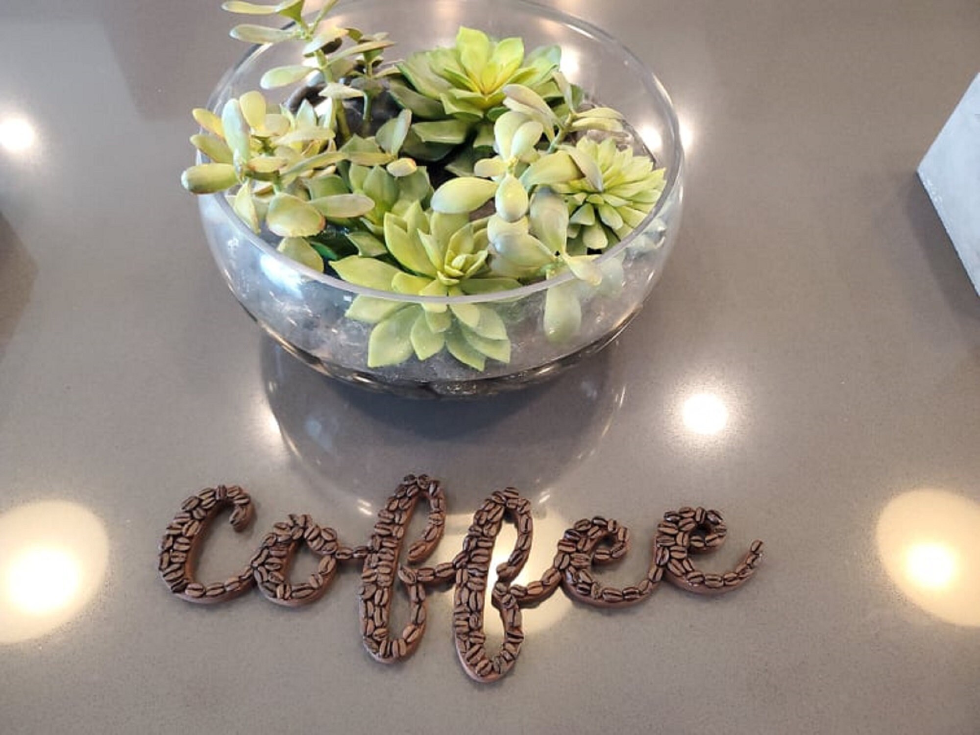 Real Coffee Bean Wall Decor Matte Etsy