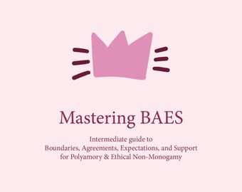 Mastering BAES (Boundaries, Agreements, Expectations and Support) Workbook