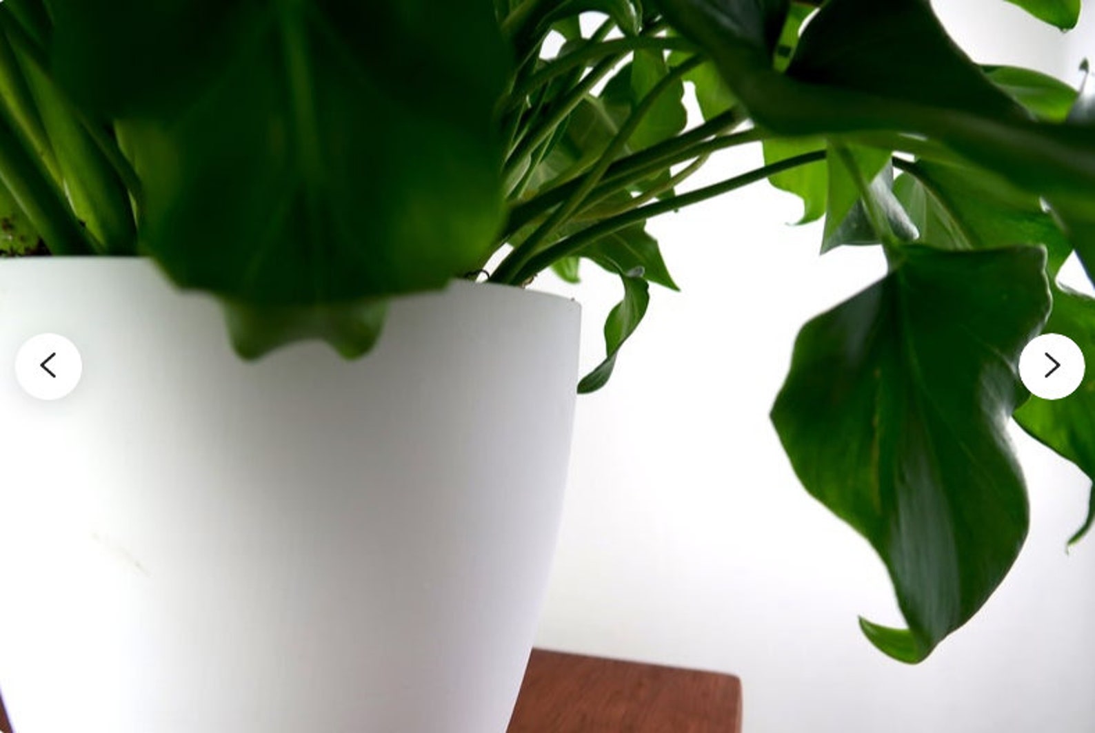 Geschenk zur Geburt Geburtstagsgeschenk Garten Wohnheim Etsy