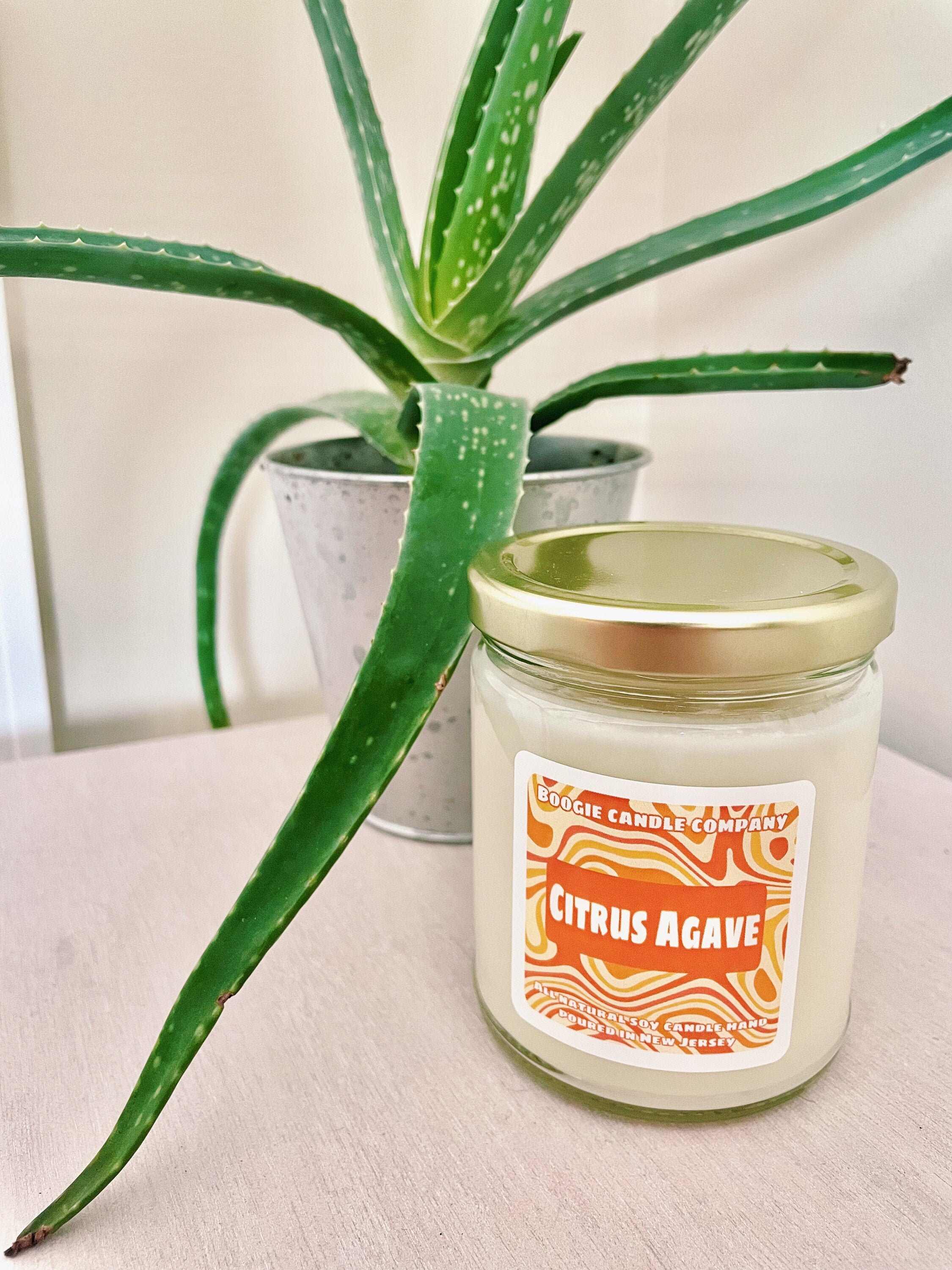 Citrus Agave Soy Candle Hand Poured in New Jersey Etsy