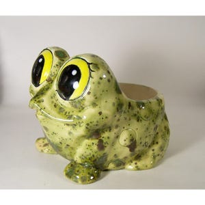 May include: A ceramic frog-shaped planter with large, expressive eyes. The planter is primarily green with darker brown spots and a cream-colored interior. The frog has yellow and black eyes and is designed to hold plants.