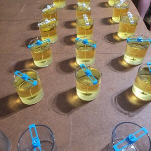 Pu&ograve; includere: Un piano con pi&ugrave; barattoli di vetro trasparente riempiti di un liquido giallo. Ogni barattolo ha un porta stoppino blu e bianco.