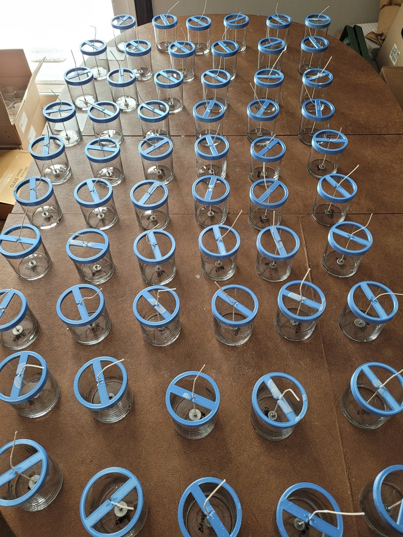 Pu&ograve; includere: Un grande gruppo di barattoli di vetro trasparente per candele con coperchi blu e stoppini bianchi. I barattoli sono disposti in file su una superficie di legno marrone.