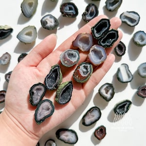 Peut inclure: Une collection de petites géodes d'agate polies, de couleurs variées, notamment grises, blanches et des nuances de violet et de brun. Certaines géodes sont tenues dans une main, d'autres sont dispersées sur une surface blanche. L'intérieur des géodes est cristallin.
