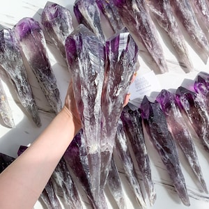 Natürlicher Bahia Amethyst-Spitzenstab/großer roher Amethyst-Drachenzahn/natürliche raue Amethystwurzel/Amethyststamm/Kronenchakra