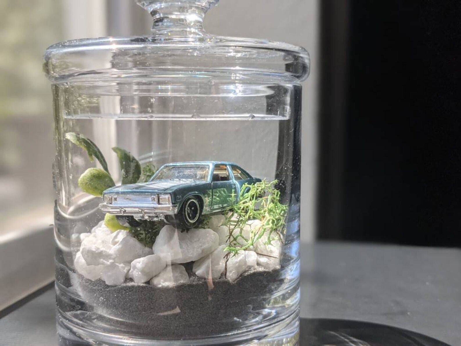 Mini Terrarium Car Etsy
