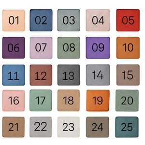May include: Twenty-five numbered colour swatches in a grid, each square displaying a different shade. The colours range from peach and blue to green, pink, orange, purple, and brown. Numbers from 01 to 25 are printed in black.