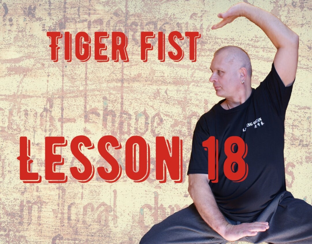 Tiger Fist lesson 18 Tiger Style Kung Fu at Home Hu Chuan Etsy