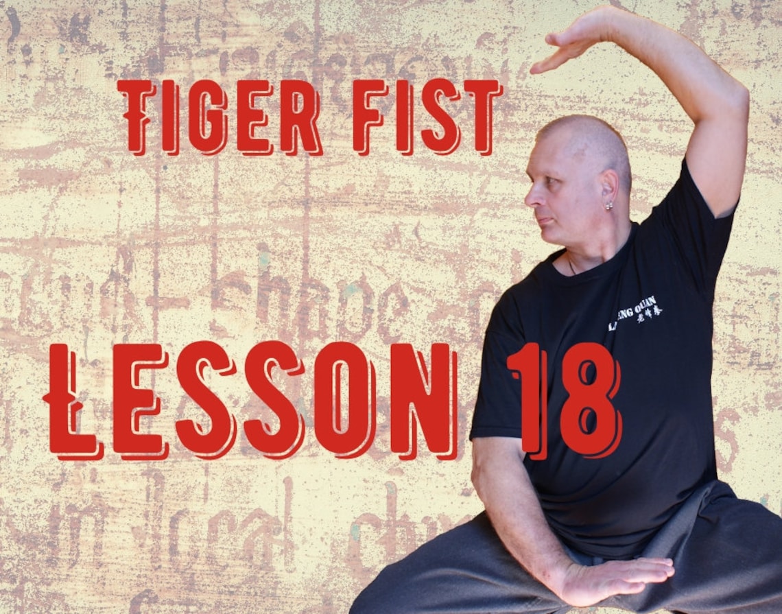 Learn Tiger Style Kung Fu Online Free Tiger Fist lesson 18 Tiger Style Kung Fu at Home Hu Chuan - Etsy