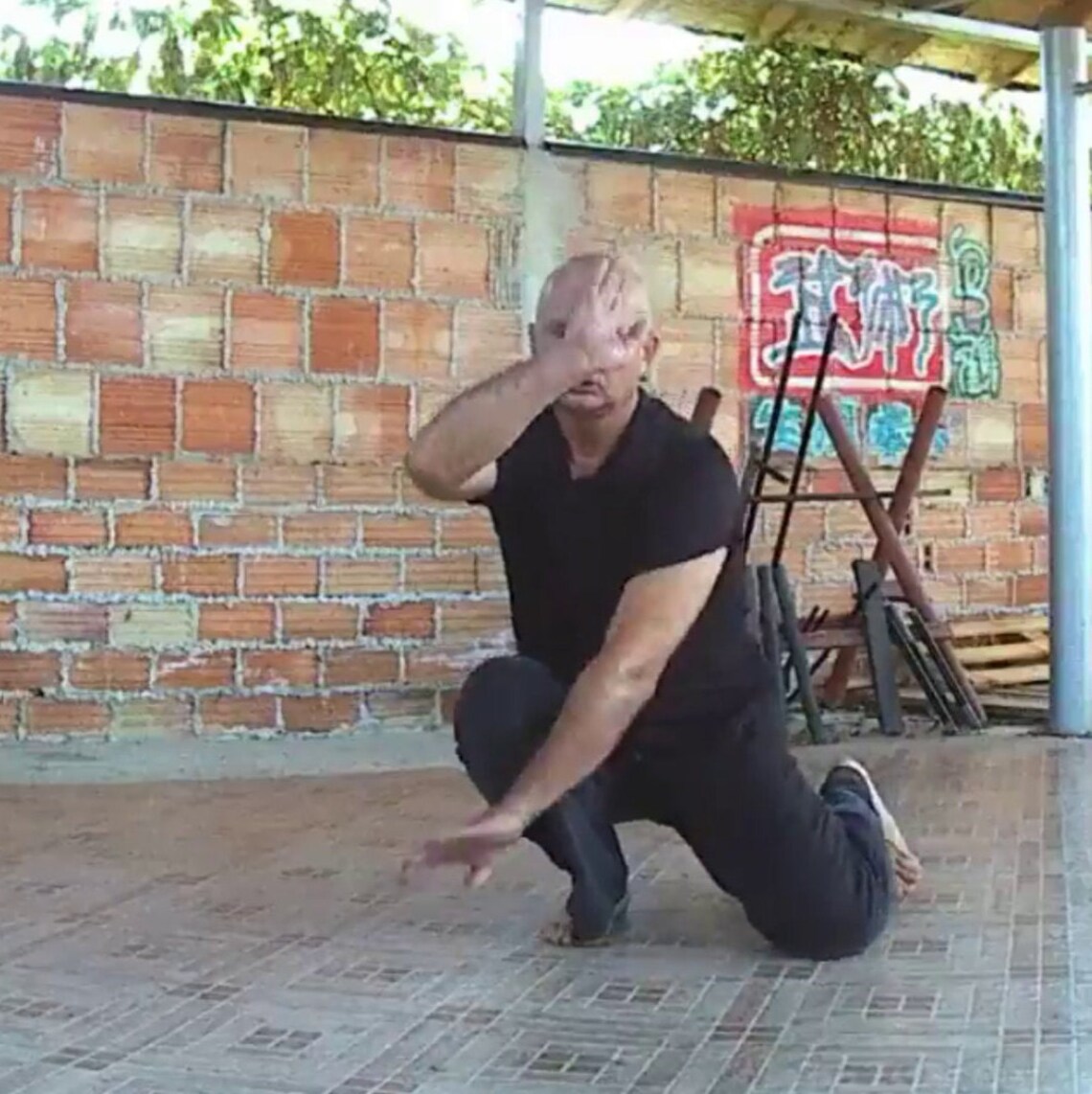 White Crane Fist Lesson 11 Learn On Your Own Technique Etsy White Crane Fist Lesson 11 Learn On Your Own Technique Etsy