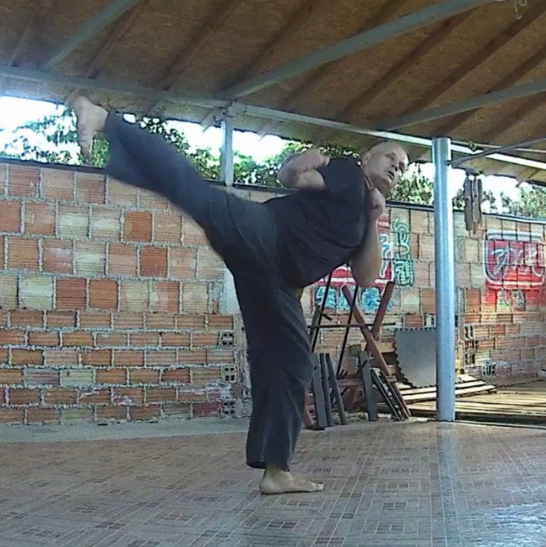 Tiger Fist lesson 18 Tiger Style Kung Fu at Home Hu Chuan Etsy