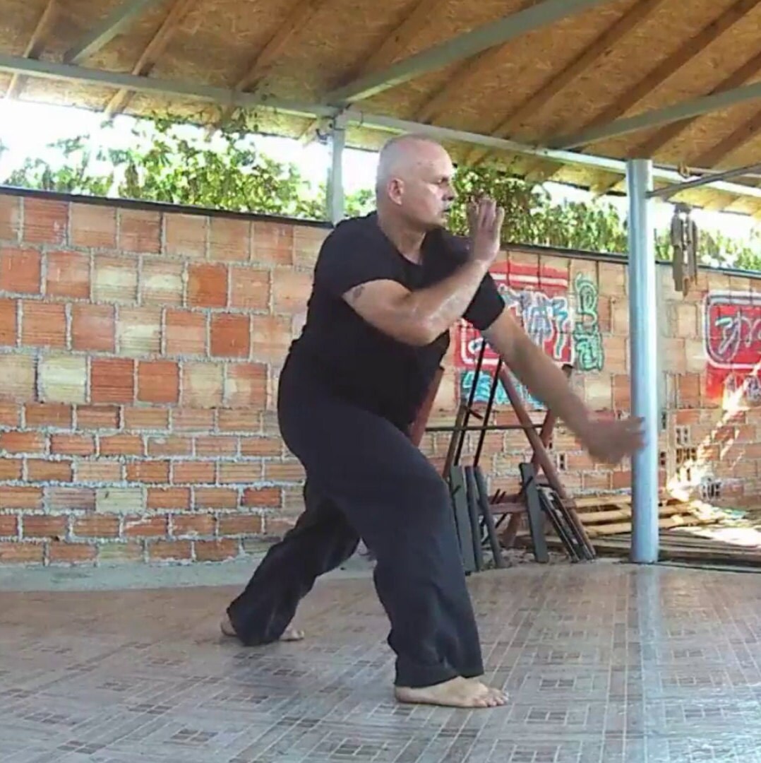 White Crane Fist Lesson 11 Learn On Your Own Technique Etsy White Crane Fist Lesson 11 Learn On Your Own Technique Etsy