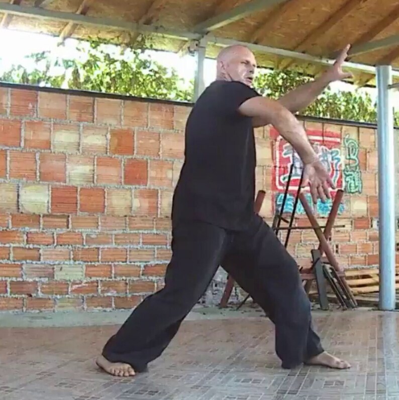 White Crane Fist Lesson 11 Learn On Your Own Technique Etsy White Crane Fist Lesson 11 Learn On Your Own Technique Etsy