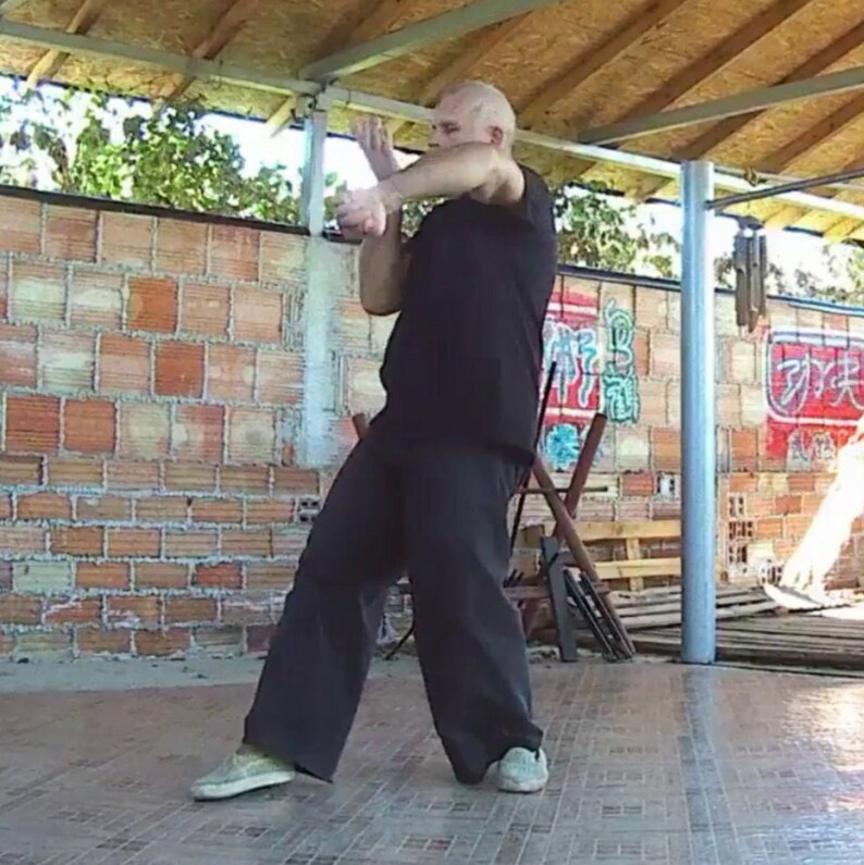 White Crane Fist Lesson 11 Learn On Your Own Technique Etsy White Crane Fist Lesson 11 Learn On Your Own Technique Etsy