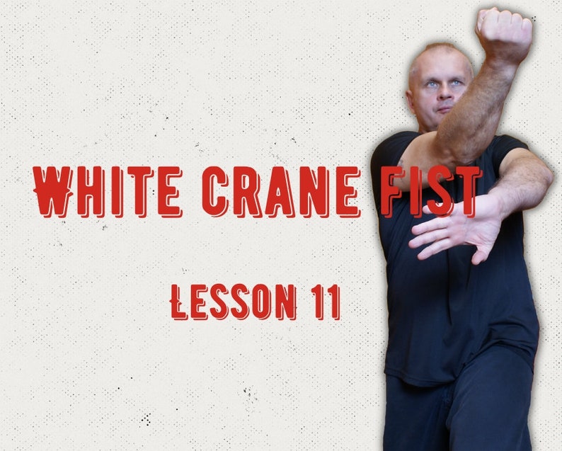 White Crane Fist Lesson 11 Learn On Your Own Technique Etsy White Crane Fist Lesson 11 Learn On Your Own Technique Etsy