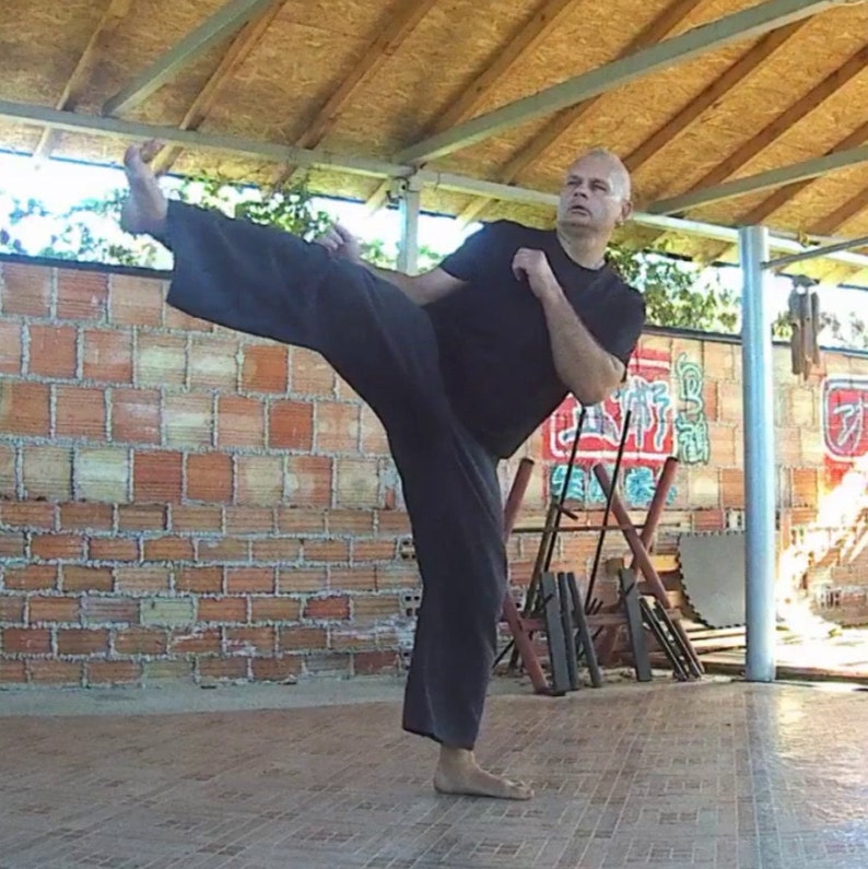 Tiger Fist lesson 18 Tiger Style Kung Fu at Home Hu Chuan Etsy