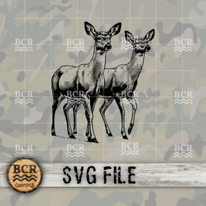 Cerf de Virginie SVG, téléchargement numérique, Big Buck SVG, chasse au chevreuil, chasse SVG, cerf de Virginie, saison du cerf, conception de chasse