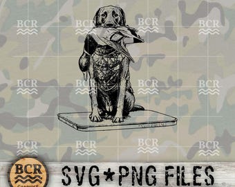 Black Lab SVG, Black Lab PNG, Labrador SVG, Hunting Dog Svg, Black Lab Clipart, Labrador Retriever, Black Lab Vector, Dog Svg, Dog Png