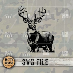 Big Buck SVG, Whitetail Deer SVG, Big Buck Digital Download, Deer Hunting, Hunting SVG, Whitetail Buck, Deer Season, Hunting Design