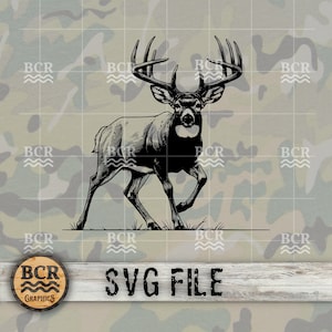 Cerf SVG, SVG Buck, cerf de Virginie SVG, tête de cerf Svg, Big Buck Svg, Svg de chasse au cerf, cerf de Virginie Buck Svg, fichier Svg de cerf, Svg de cerf