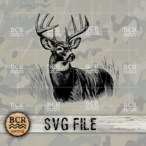 Cerf SVG, SVG Buck, cerf de Virginie SVG, tête de cerf Svg, Big Buck Svg, Svg de chasse au cerf, cerf de Virginie Buck Svg, fichier Svg de cerf, Svg de cerf
