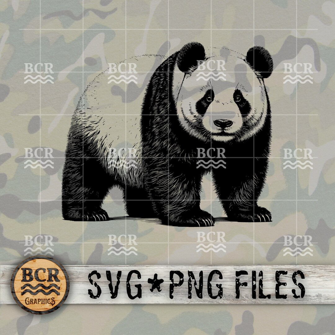 Panda Bear SVG, Panda Bear PNG, Panda SVG, Panda Png, Panda Bear ...