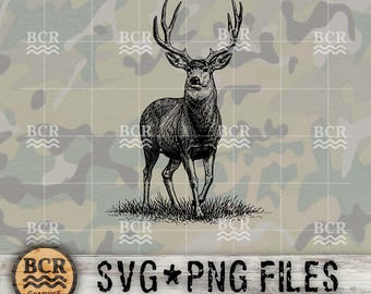 Grafica realistica di cervo mulo maschio SVG PNG, design realistico per la caccia al mulo, pronto per il laser, stagione dei cervi, design per la caccia, occidentale, pianure, fauna selvatica