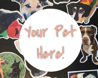 Your Pet Custom Sticker | Dog sticker, cat, sticker for laptop, water bottle